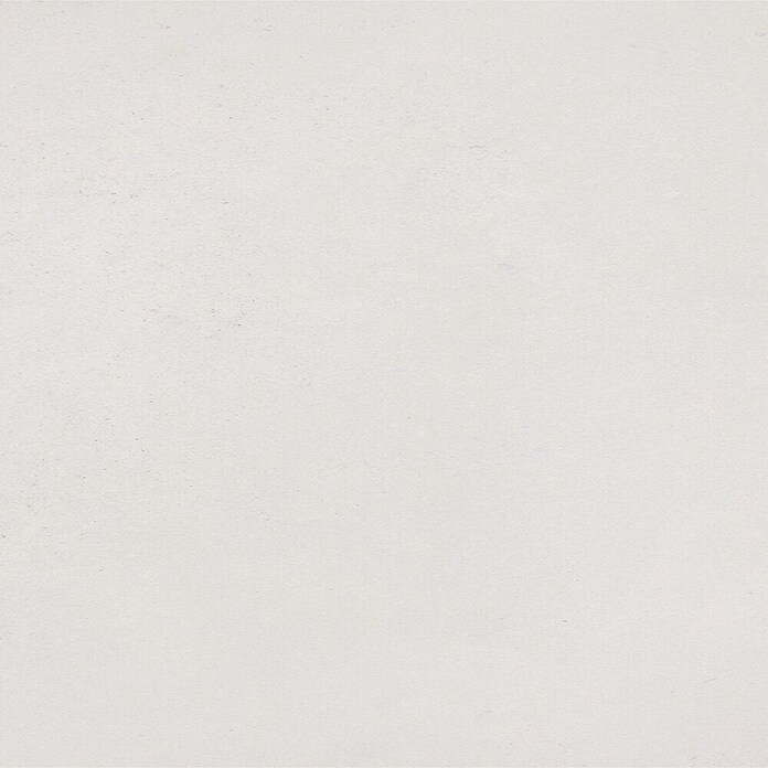 Art-Tec by Palazzo Feinsteinzeugfliese (30 x 60 cm, Offwhite, Matt)