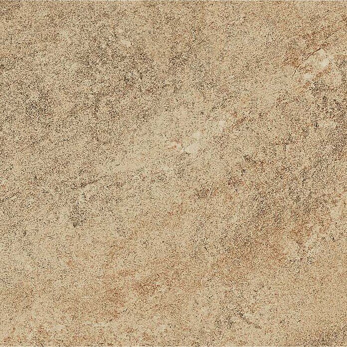 Feinsteinzeugfliese (30 x 60 cm, Beige, Unglasiert)