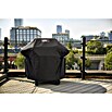 Weber Gasgrill Spirit E-210 (Grillfläche (B x T): 52 x 44 cm, 7,8 kW, Anzahl Brenner: 2 Stk.) | BAUHAUS