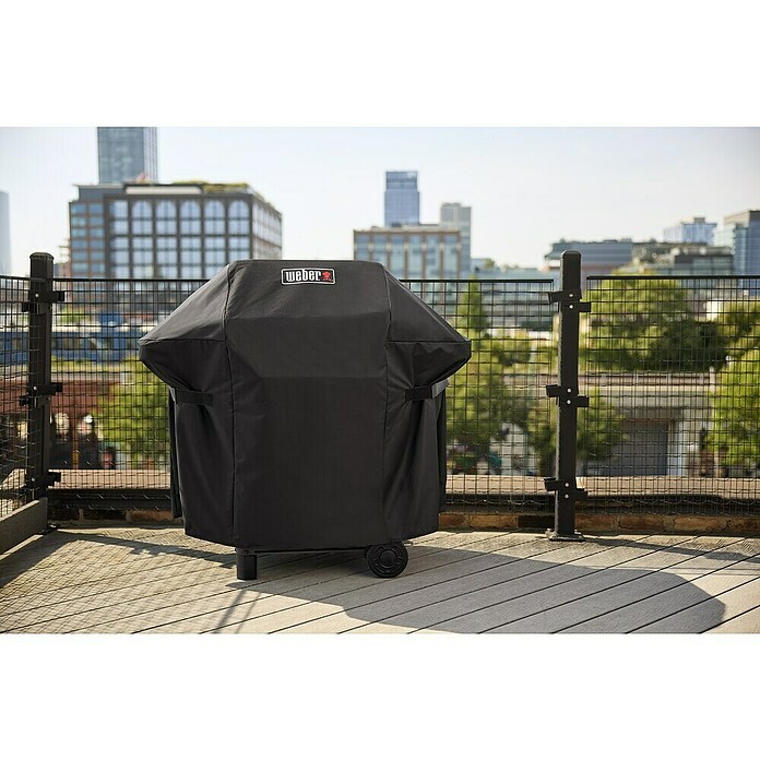 Weber Gasgrill Spirit E-210 (Grillfläche (B x T): 52 x 44 cm, 7,8 kW, Anzahl Brenner: 2 Stk.) | BAUHAUS