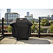 Weber Gasgrill Spirit E-210 (Grillfläche (B x T): 52 x 44 cm, 7,8 kW, Anzahl Brenner: 2 Stk.) | BAUHAUS
