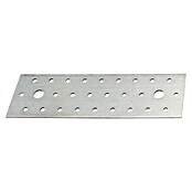 Alberts Pletina de ensamblaje (L x An: 200 x 60 mm, Zincado) | BAUHAUS