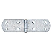 Stabilit Bisagra (L x An: 135 x 35 mm, Acero, Zincado) | BAUHAUS