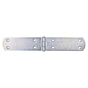 Stabilit Bisagra (L x An: 250 x 40 mm, Acero, Zincado) | BAUHAUS