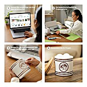 Cricut Schneideplotter Explore 4 Essentials-Bundle (Muschelweiß, Bluetooth, Schnittbreite: 29,7 cm, Schnittlänge: 3,6 m) | BAUHAUS