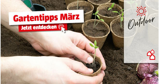 Gartentipps März