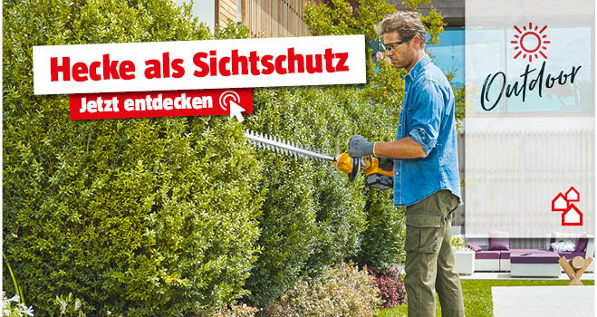Hecke als Sichtschutz