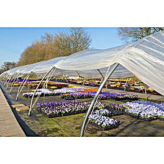 Film protector (10 x 4 m, Negro, 400 g/m²)