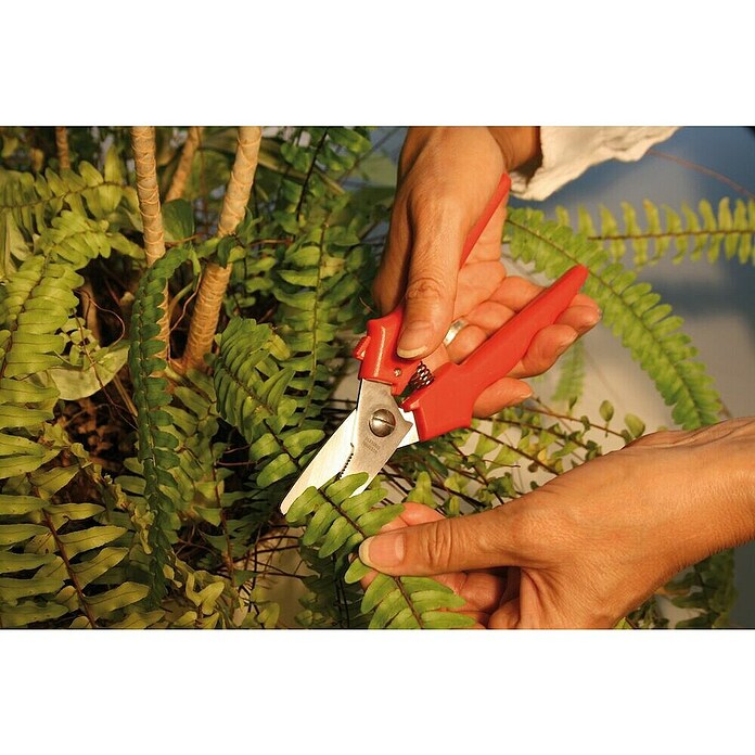 Bessey Tijera combinada Combinox (190 mm, Rojo) | BAUHAUS
