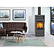 Fireplace Dauerbrandofen (6 kW, Raumheizvermögen: 108 m³, Verkleidung: Speckstein, Anthrazit)