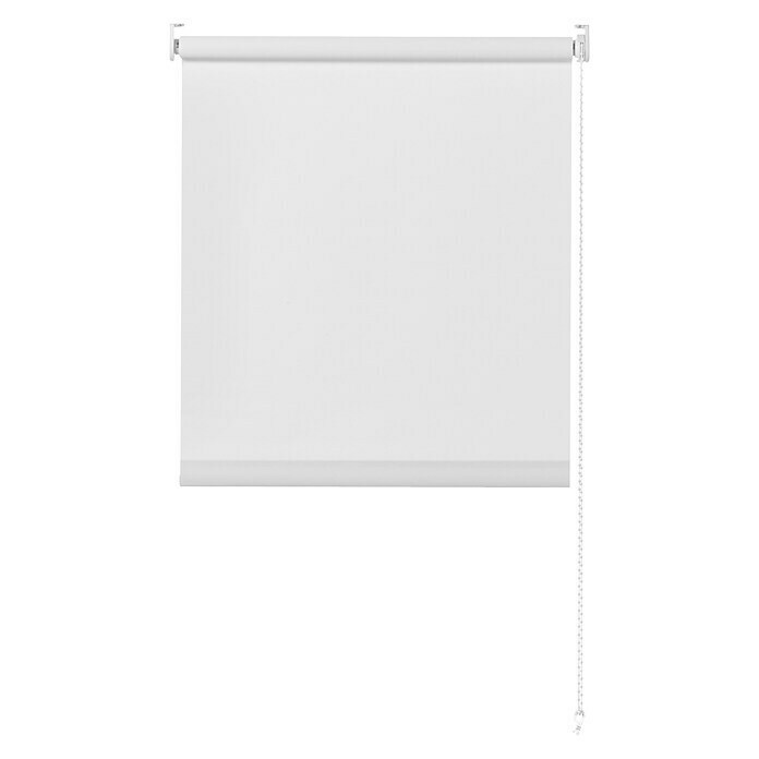Rolo Basic (Š x V: 120 x 175 cm, Bijelo, Propusno za danje svjetlo)