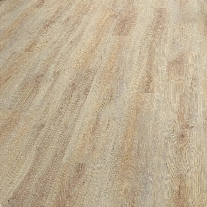 LOGOCLIC Laminatmuster Silentos Eiche Mira - 296 x 195 x 1 mm, Landhausdiele - Nahaufnahme von hellem Laminatboden mit Holzstruktur, ideal für moderne Innenräume und einfache Reinigung.