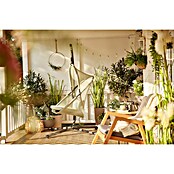 Siena Garden Hängesessel Yobaya mit Schutzhülle (L x B x H: 106 x 123 x 195 cm, Grün) | BAUHAUS