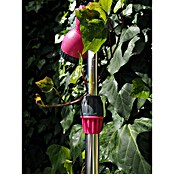 Ducha de jardín con trípode (240 cm, Trípode, Aluminio, Fucsia) | BAUHAUS