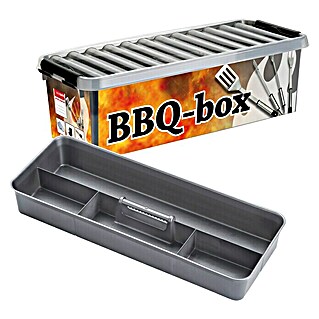 Sunware Aufbewahrungsbox Q-Line (L x B x H: 48,5 x 19 x 14,7 cm, Kunststoff, Mehrfarbig)