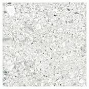 Cersanit Porculanska pločica Terrino  (59,8 x 59,8 cm, Svijetlo siva, Mat) | BAUHAUS