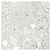 Cersanit Porculanska pločica Terrino  (59,8 x 59,8 cm, Svijetlo siva, Mat) | BAUHAUS