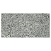 Cersanit Porculanska pločica Newstone  (59,8 x 29,8 cm, Siva, Mat) | BAUHAUS