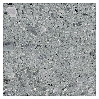 Cersanit Granitogresne ploščice Terrino Grey Mat (59,8 x 59,8 cm, Mat)