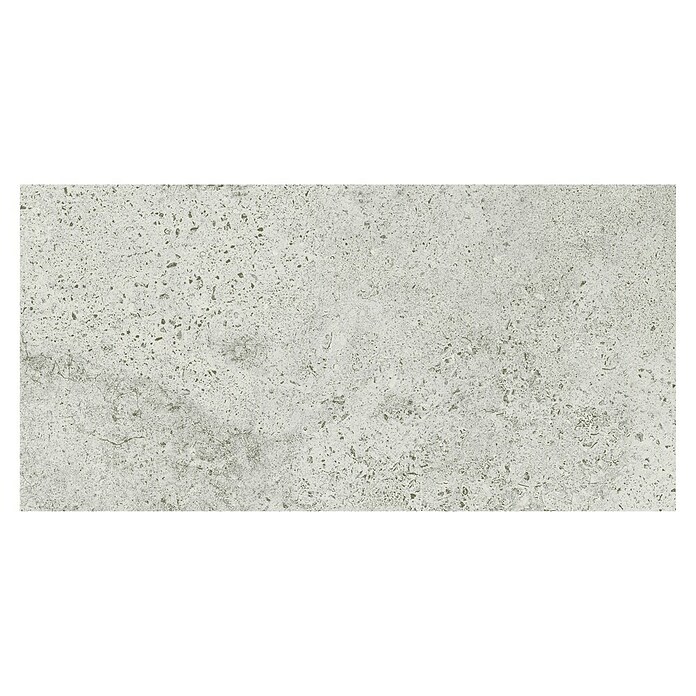 Cersanit Porculanska pločica Newstone  (59,8 x 29,8 cm, Svijetlo siva, Mat) | BAUHAUS