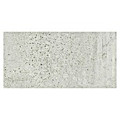 Cersanit Porculanska pločica Newstone  (59,8 x 29,8 cm, Svijetlo siva, Mat) | BAUHAUS