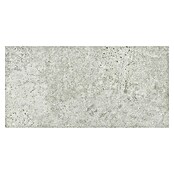 Cersanit Porculanska pločica Newstone  (59,8 x 29,8 cm, Svijetlo siva, Mat) | BAUHAUS