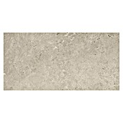Cersanit Porculanska pločica Candy  (59,8 x 29,8 cm, Bež, Mat) | BAUHAUS