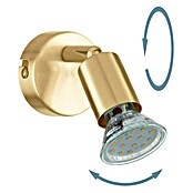 Eglo Buzz-LED Deckenstrahler BUZZ-LED (2,8 W, Gold, GU10, 1 Stk.) | BAUHAUS