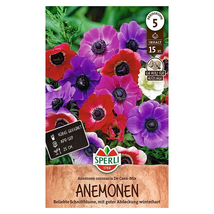 Sperli Bloembollen De Caen (Anemone coronaria, Verschillende kleuren) | BAUHAUS