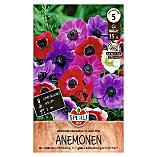 Sperli Bloembollen De Caen (Anemone coronaria, Verschillende kleuren)