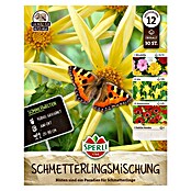 Sperli Zomerbloembollenmix Vlindermix (Verschillende soorten, 30 st.) | BAUHAUS
