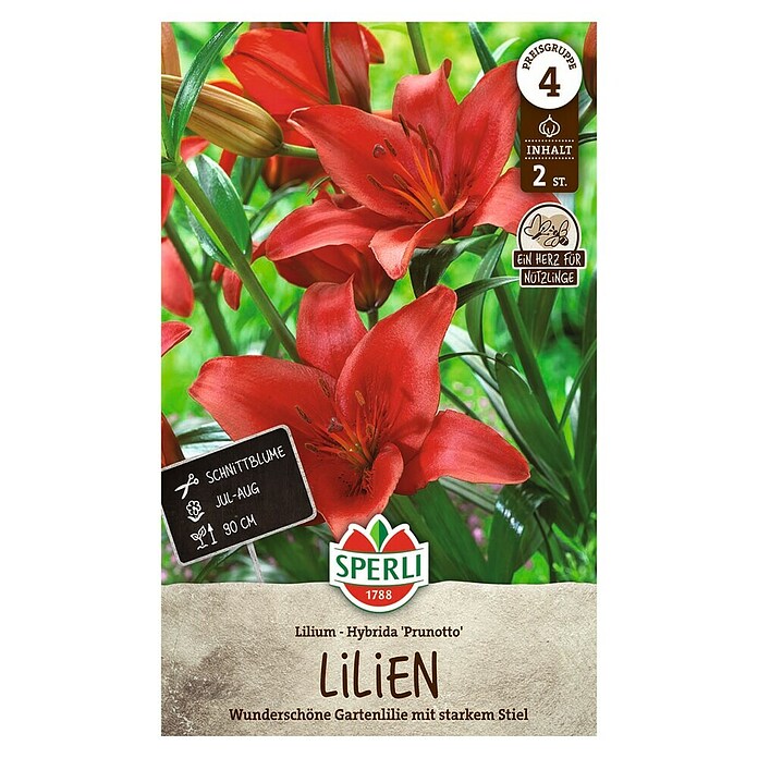 Sperli Bloembollen (Lilium x Hybrida, Rood) | BAUHAUS