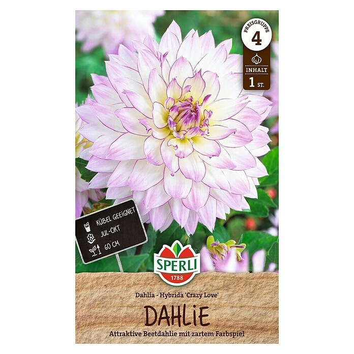 Sperli Bloembollen (Dahlia x Hybrida, Verschillende kleuren) | BAUHAUS