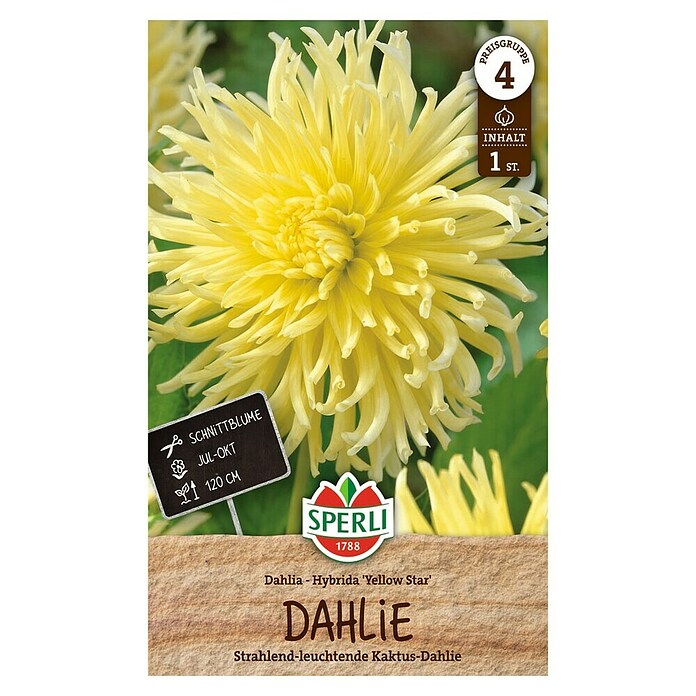 Sperli Bloembollen (Dahlia x Hybrida, Geel) | BAUHAUS