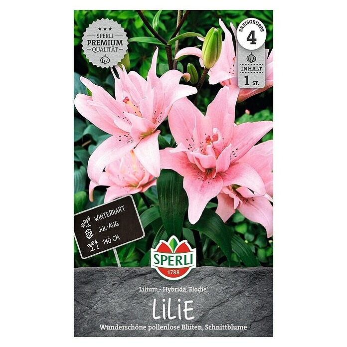 Sperli Bloembollen (Lilium x Hybrida, Roze) | BAUHAUS
