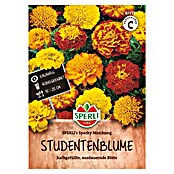 Sperli Bloemzaden (Tagetes patula, Verschillende kleuren) | BAUHAUS