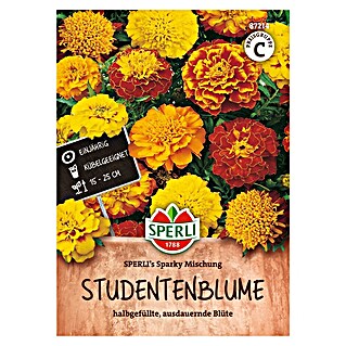 Sperli Bloemzaden (Tagetes patula, Verschillende kleuren)