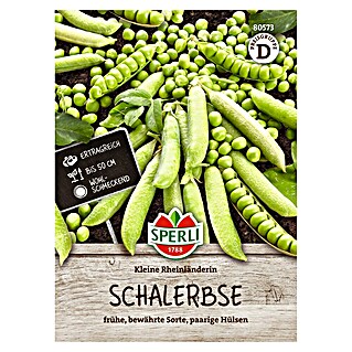 Sperli Groentezaden Kleine Rijnlander (Pisum sativum)