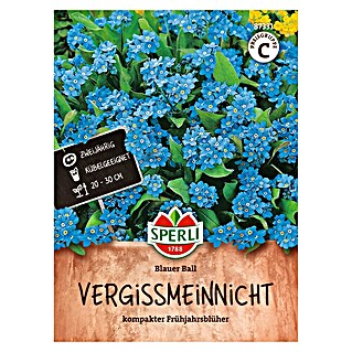 Sperli Bloemzaden (Myosotis sylvatica, Blauw)