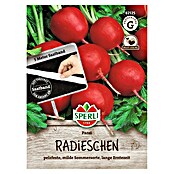 Sperli Groentezaden Parat (zaailint) (Raphanus sativus) | BAUHAUS