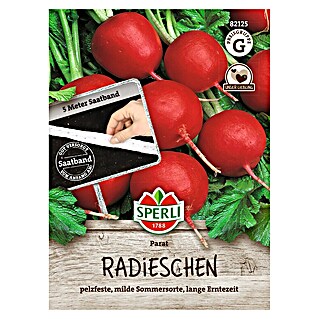 Sperli Groentezaden Parat (zaailint) (Raphanus sativus)