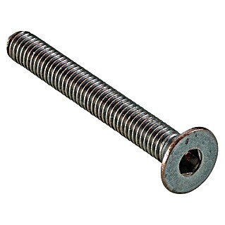Hettich Tornillo avellanado (M 6, Largo: 60 mm, Bruñido, Casquillo hexagonal SW4)