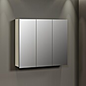 Trendteam Niklas Spiegelschrank (B x H: 90 x 80 cm, Kashmir) | BAUHAUS