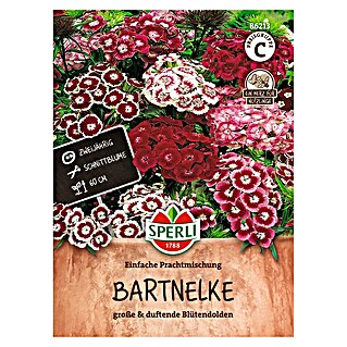 Sperli Bloemzaden (Dianthus barbatus, Verschillende kleuren)
