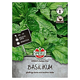 Sperli Kruidenzaad Italian Star (Ocimum basilicum)
