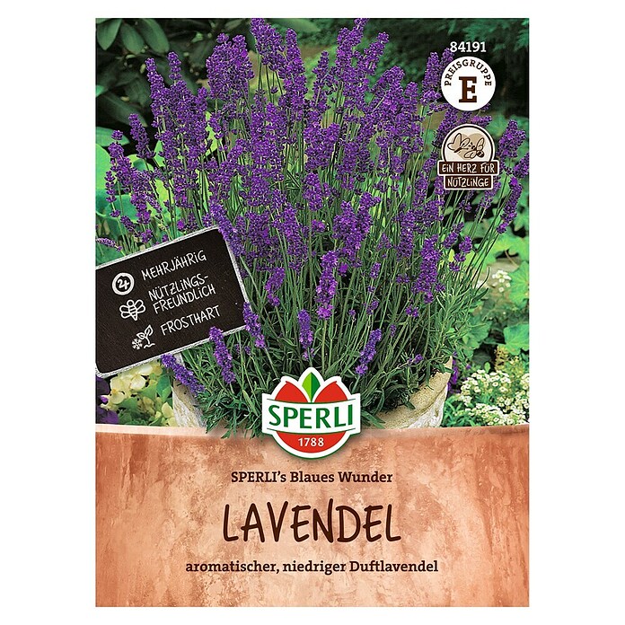 Sperli Bloemzaden (Lavandula angustifolia) | BAUHAUS