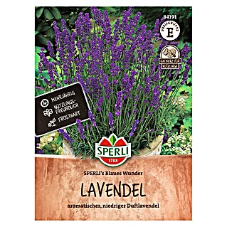 Sperli Bloemzaden (Lavandula angustifolia)