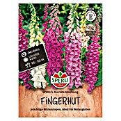 Sperli Bloemzaden (Digitalis purpurea, Verschillende kleuren) | BAUHAUS
