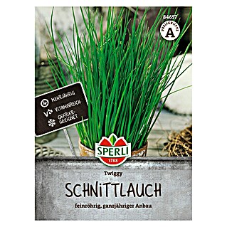 Sperli Kruidenzaad Twiggy (Allium schoenoprasum)