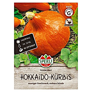 Sperli Groentezaden Uchiki Kuri (Cucurbita maxima)